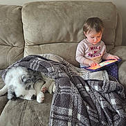 Tommy joined the competition — help win amazing prizes! toddler, dog, blanket, couch, tablet, child, indoor, plaid, sleeping, pet, cozy, casual_clothing, soft_lighting, curly_hair, playing, relaxation, animal, furniture, calm, technology
