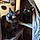 Bastet Et Luci