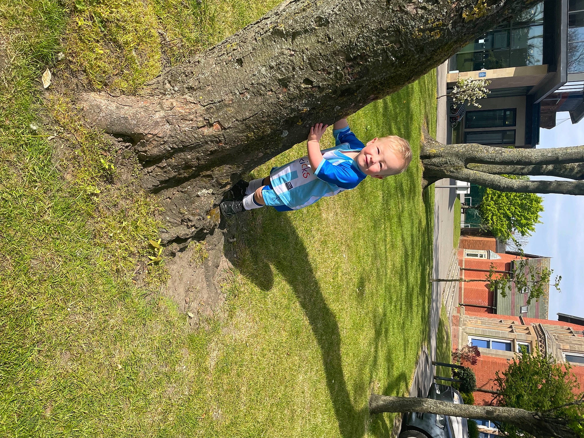 Kaysen joined the competition — help win amazing prizes! building, electric_blue, fun, grass, house, joy, landscape, leisure, people_in_nature, person, plant, pole, recreation, slope, smile, soil, toddler, tree, trunk, window