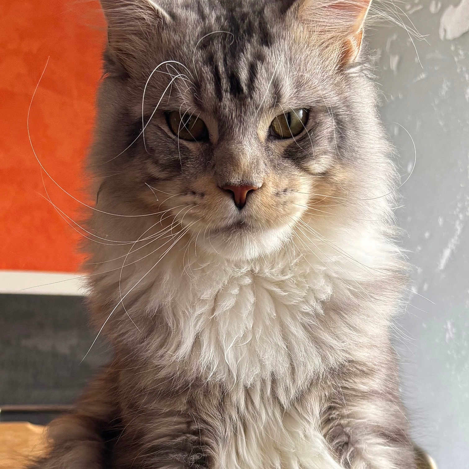 Aïko