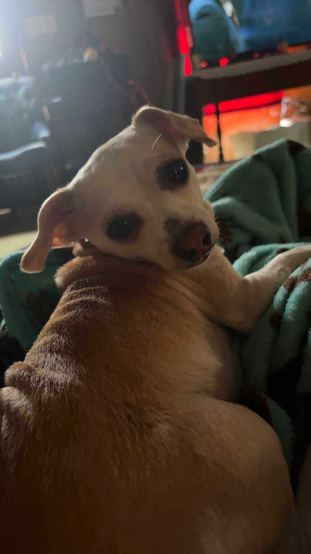 Peanutbutter