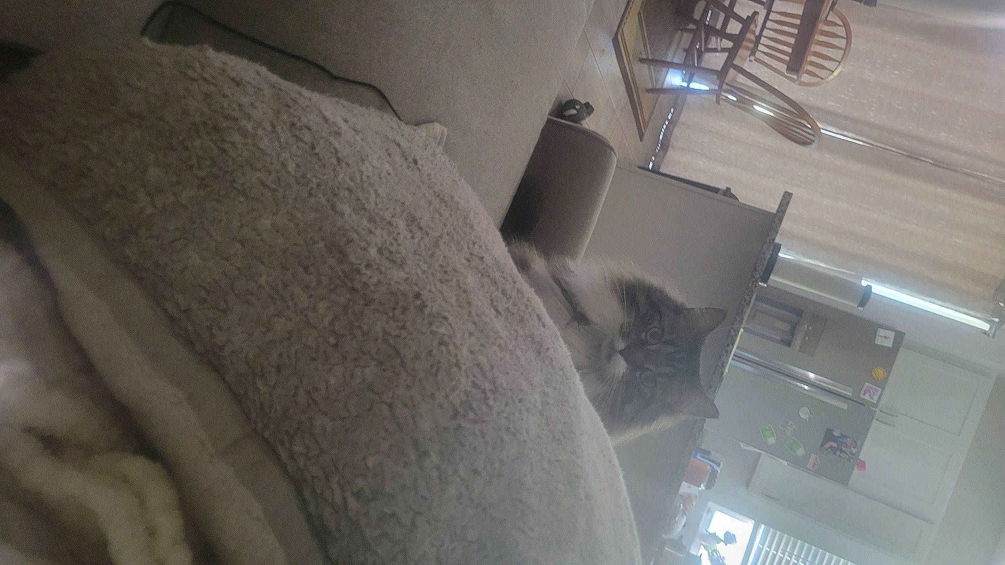 Missy is registered to the contest to win money with this photo: art, auto_part, automotive_design, ceiling, comfort, daylighting, flooring, head_restraint, linens, luxury_vehicle, machine, room, tints_and_shades, vehicle_door, wood