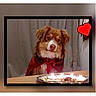 dog, brown_dog, scarf, table, candles, dog_biscuits, indoor, curtains, red_scarf, pet, portrait, animal, cute, face, fur, ears, nose, eyes, heart_sticker, cozy