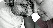 Praline participe au concours pour gagner de l'argent avec cette photo : affection, animal, black_and_white, bond, calm, close_up, closed_eyes, compassion, cuddle, dog, face, french_bulldog, friendship, gentle, head_touch, human, love, person, pet, portrait