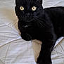 black_cat, cat, pet, animal, feline, yellow_eyes, whiskers, indoor, bed, mattress, relaxed, lying_down, curious, paw, fur, domestic_cat, cute, looking, portrait, resting