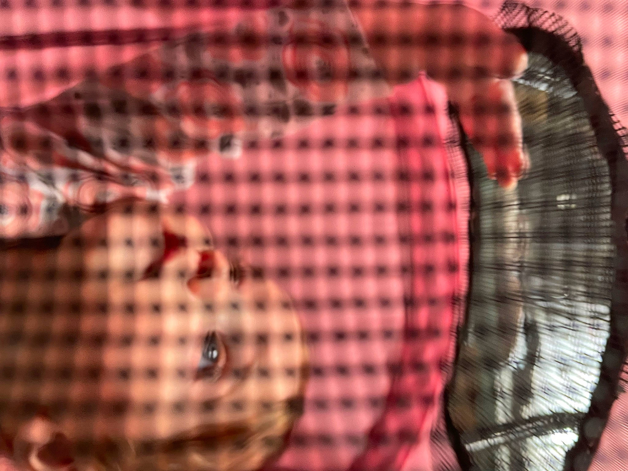 Haven joined the competition — help win amazing prizes! art, circle, event, font, graphic_design, graphics, illustration, mesh, metal, net, pattern, plaid, reflection, shadow, sleeve, t_shirt, tartan, tints_and_shades, visual_arts, wood