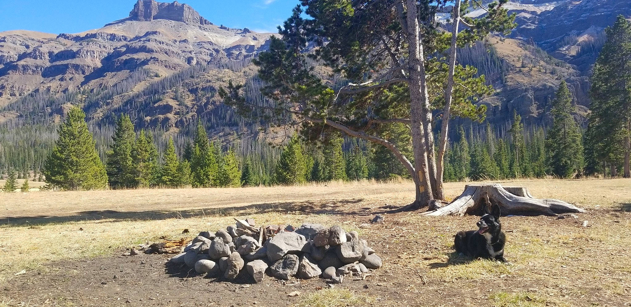 Luna Lou is registered to the contest to win money with this photo: landscape, mountain, national_park, natural_landscape, plant, rock, state_park, tree, wilderness, working_animal