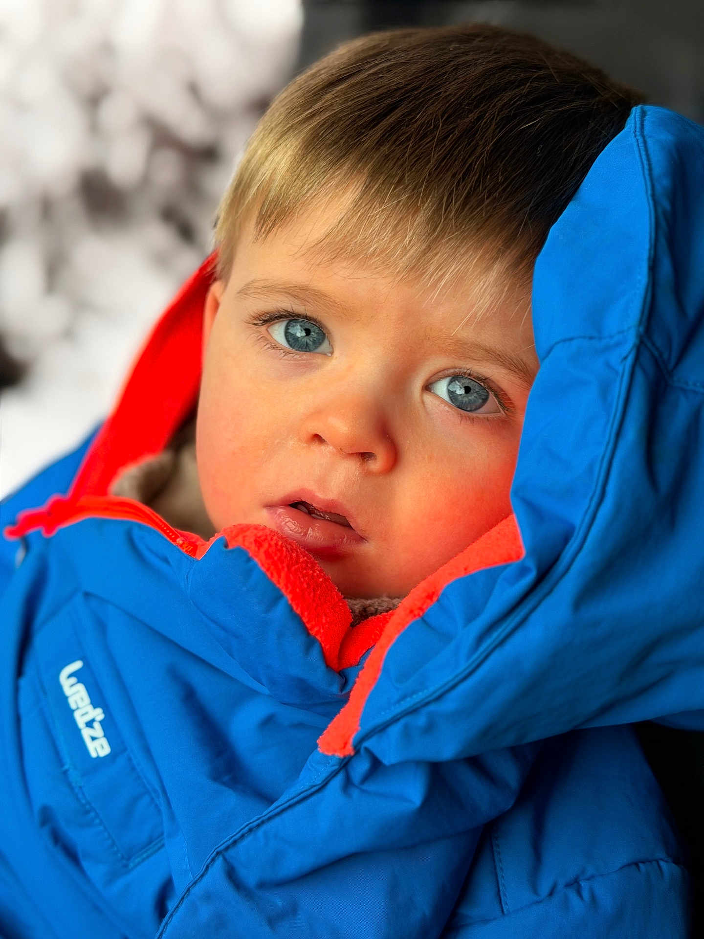 Léon Grange a rejoint le concours — aidez-le/la à gagner de superbes lots ! child, blue_eyes, winter_jacket, blue_jacket, orange_lining, portrait, close_up, curious_expression, face, outdoor, cold_weather, childhood, young_child, cute, apparel, headwear, person, warm_clothing, soft_light, winter