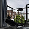 kitten, cat, windowsill, window_screen, paw, curious, cityscape, brick_building, fire_escape, railing, greenery, urban, indoor, pet, young_cat, daylight, tail, white_paws, striped_fur, looking_out