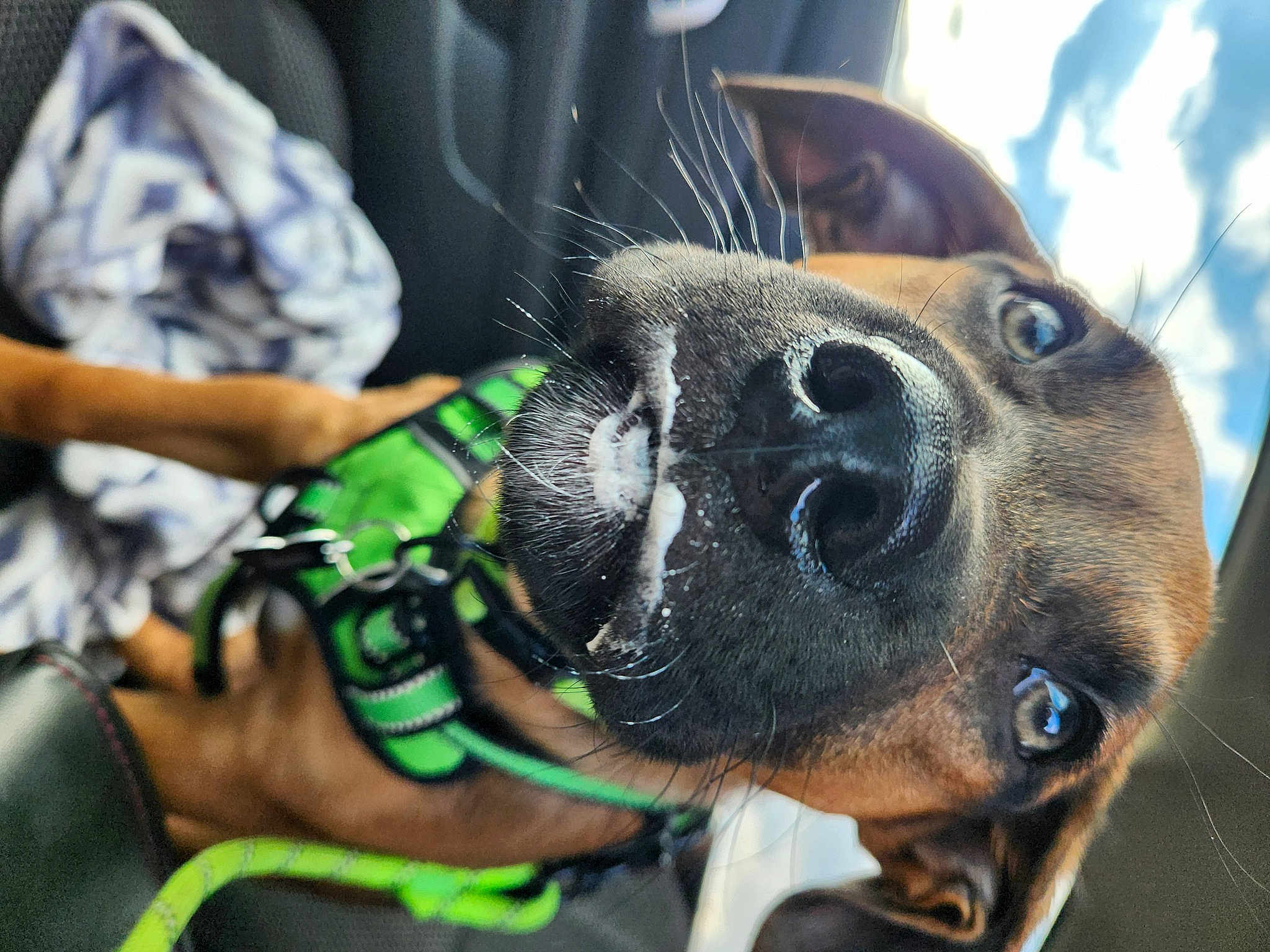 Ruger