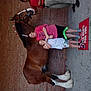 child, adult, horse, brick_wall, sidewalk, doormat, red_shirt, pink_shirt, shorts, sandals, people, animal, outdoor, pet, smiling, hugging, footwear, mammal, daylight, casual_clothing