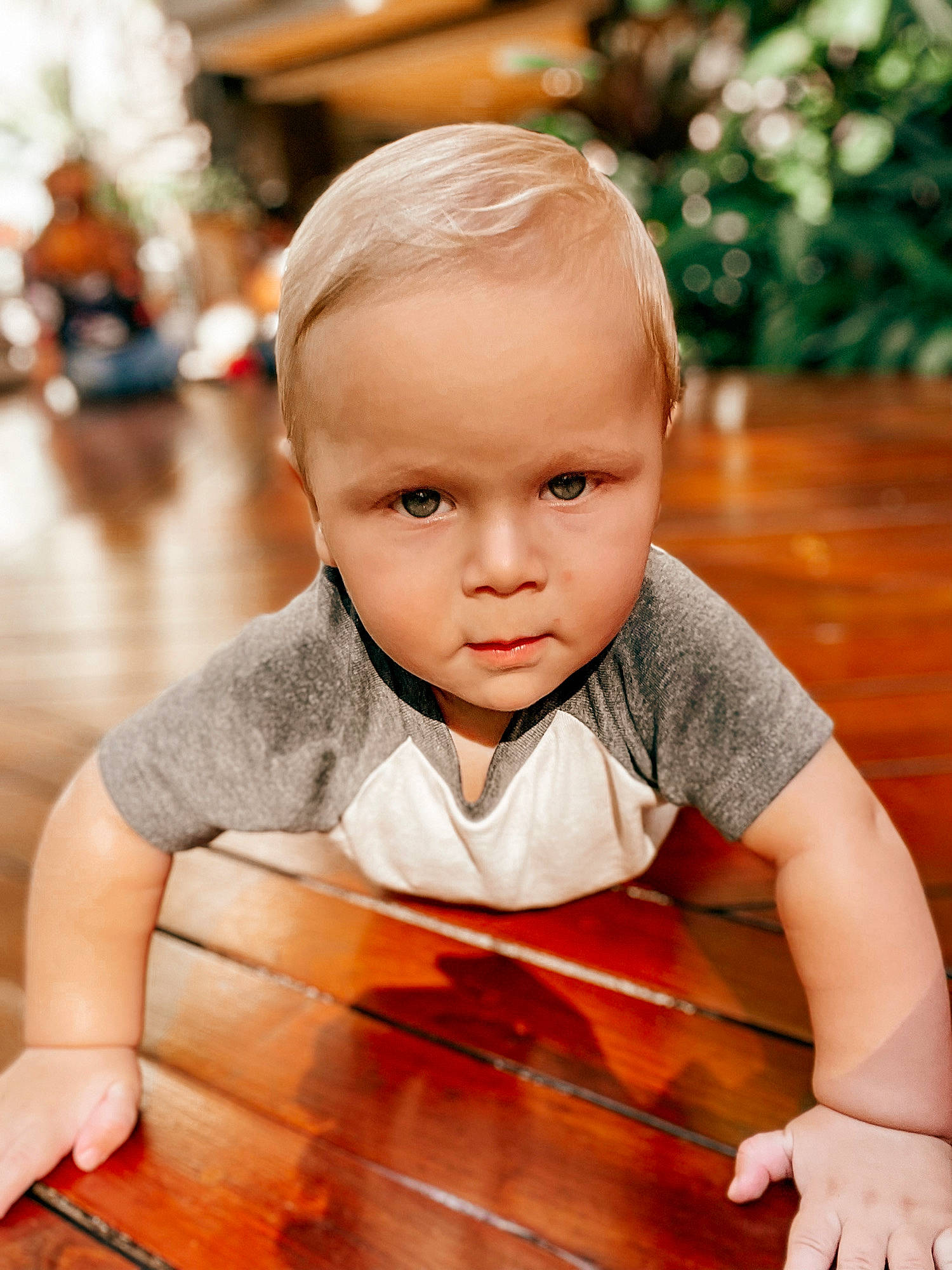 Bowie joined the competition — help win amazing prizes! baby_toddler_clothing, blond, child, dress, finger, floor, flooring, fun, happy, hardwood, leisure, person, sitting, skin, sleeve, t_shirt, table, toddler, varnish, wood