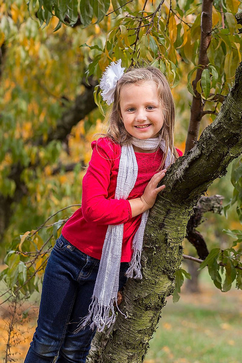 Mallory is registered to the contest to win money with this photo: autumn, blond, branch, child, child_model, happy, joy, leaf, people, people_in_nature, person, photo_shoot, photograph, photography, plant, portrait_photography, red, smile, toddler, tree