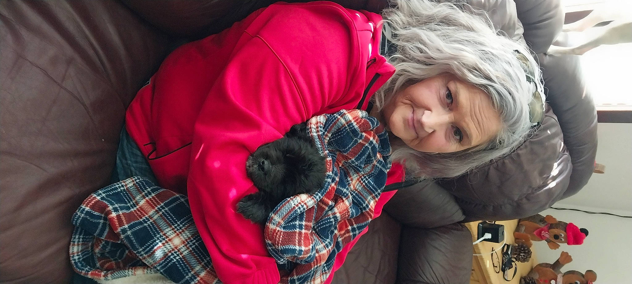 Jonny Cash Cash For Short