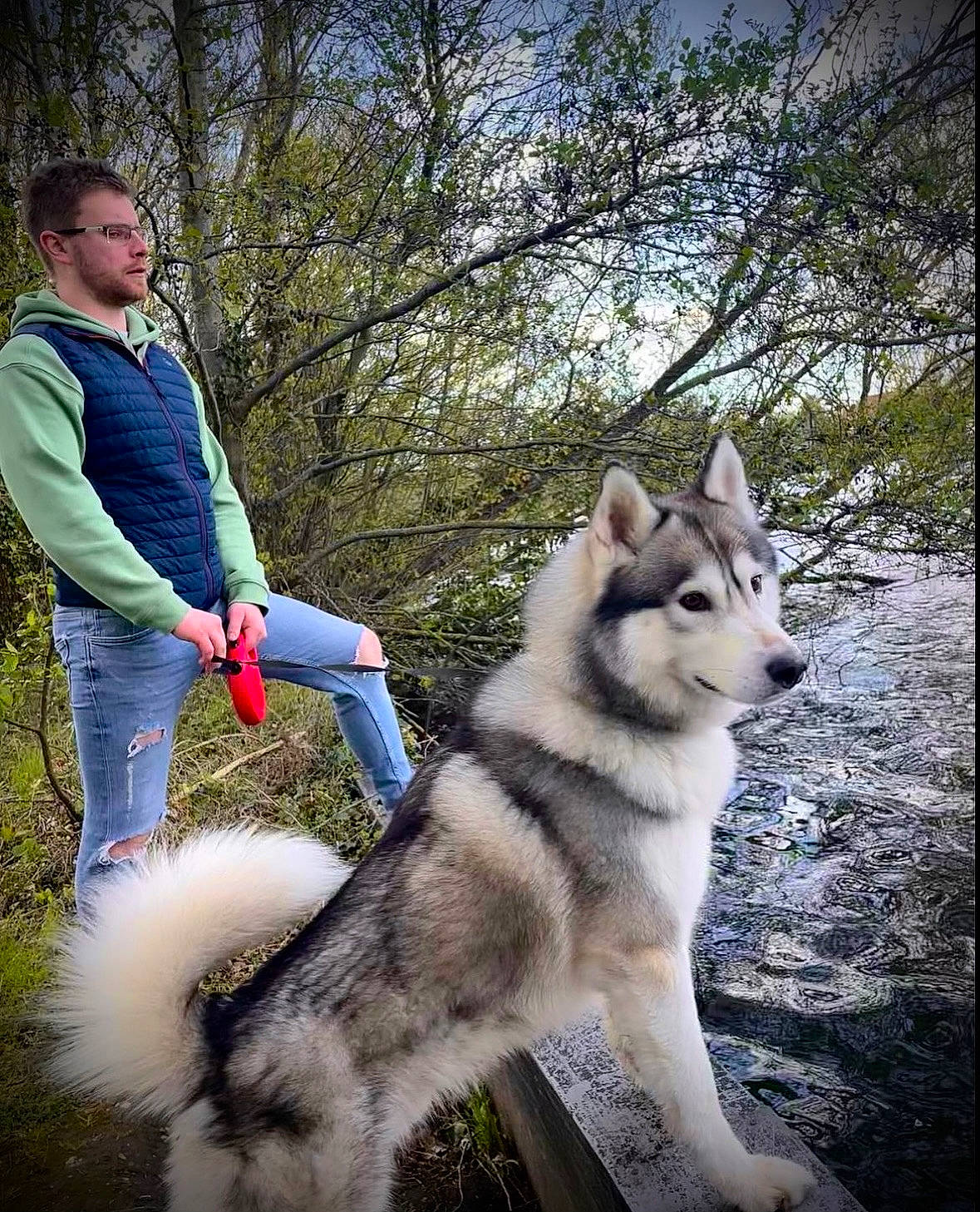 Olka participe au concours pour gagner de l'argent avec cette photo : ancient_dog_breeds, canidae, canis, carnivore, companion_dog, dog, dog_breed, dog_hiking, forest, fur, recreation, siberian_husky, sky, sled_dog, sporting_group, tree, wildlife, winter, wolf, working_dog