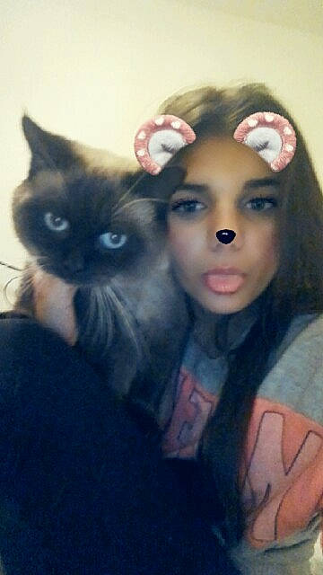 Nala participe au concours pour gagner de l'argent avec cette photo : cat, cat_like_mammal, ear, eye, face, girl, head, kitten, mammal, person, small_to_medium_sized_cats, snout, vertebrate, whiskers