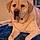 Charlie