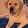 Charlie