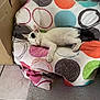 animal, blanket, cardboard_box, cat, colorful, cozy, cute, feline, floor, indoor, kitten, peaceful, pet, polka_dot, resting, rug, sleeping, small, soft, tile