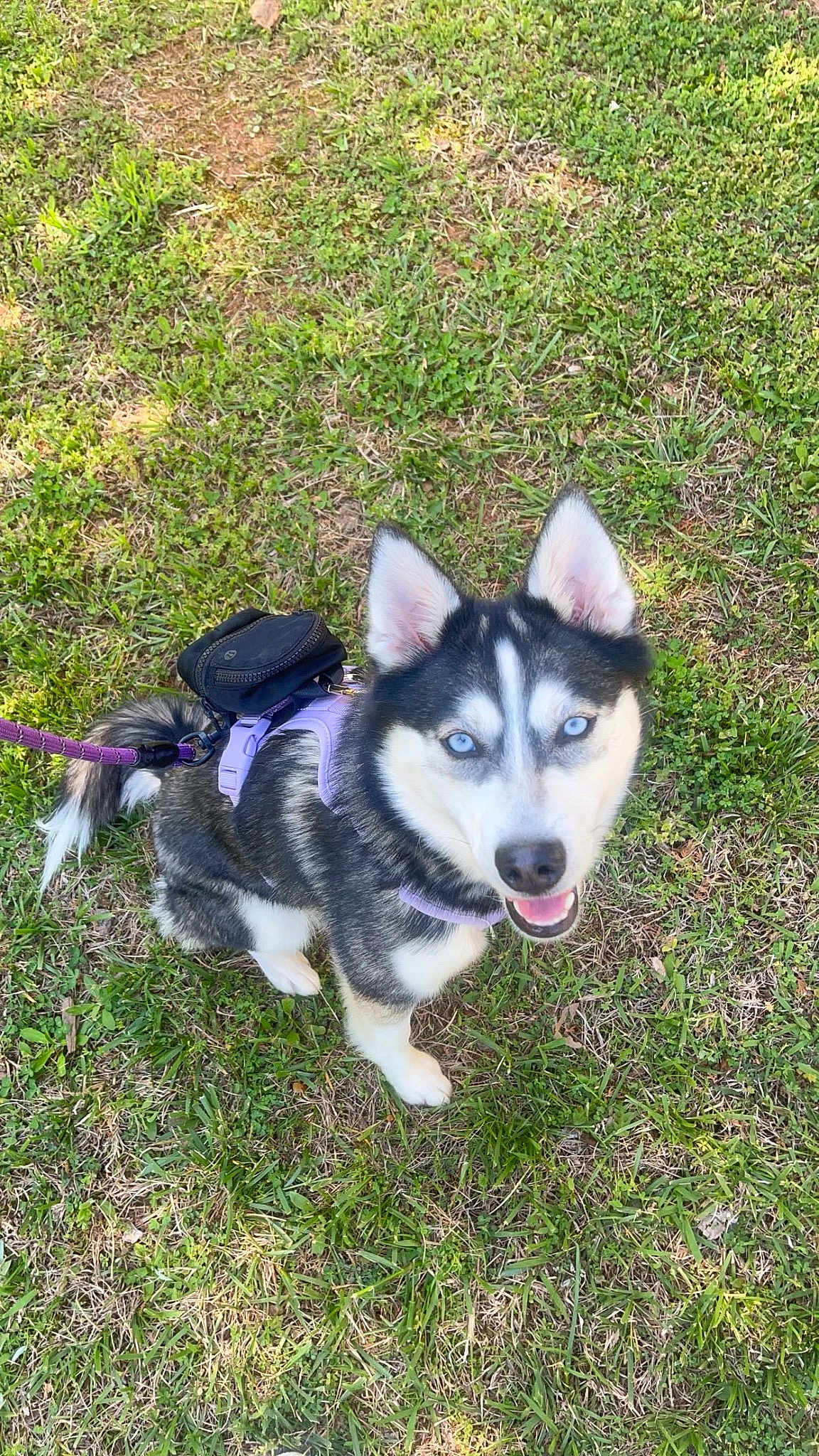 Mika