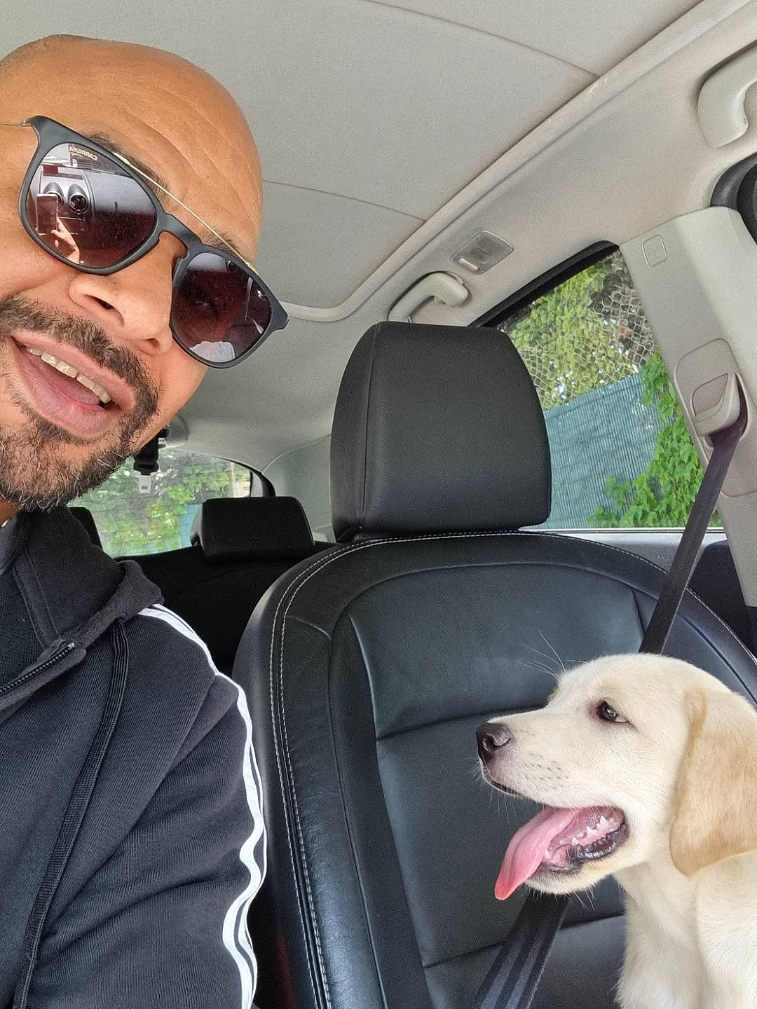 Smoky participe au concours pour gagner de l'argent avec cette photo : automotive_exterior, beard, car, car_seat, car_seat_cover, carnivore, collar, dog, dog_breed, glasses, goggles, head_restraint, motor_vehicle, seat_belt, smile, sunglasses, vehicle, vision_care, white, window