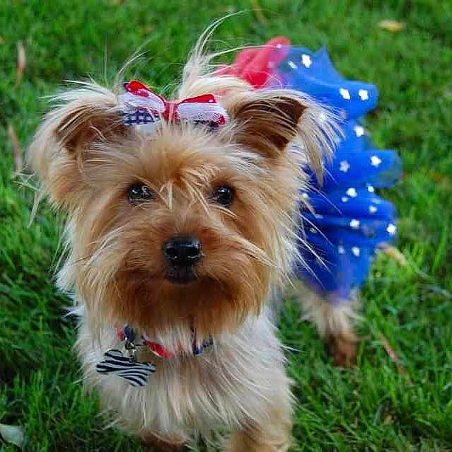 Charlotte is registered to the contest to win money with this photo: