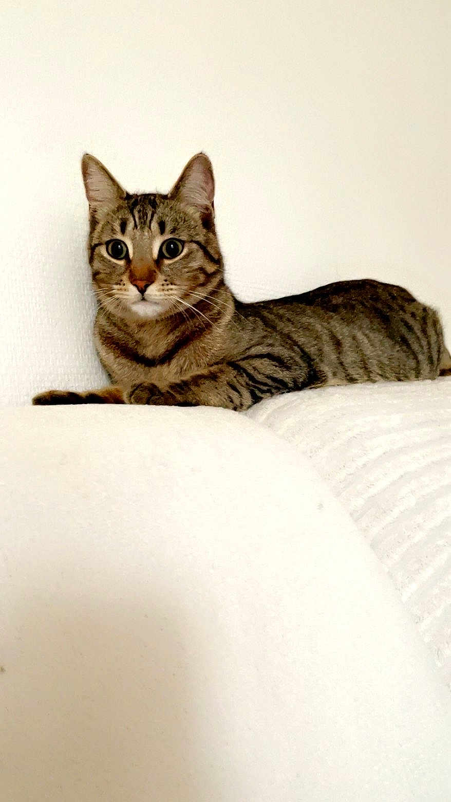 Rio