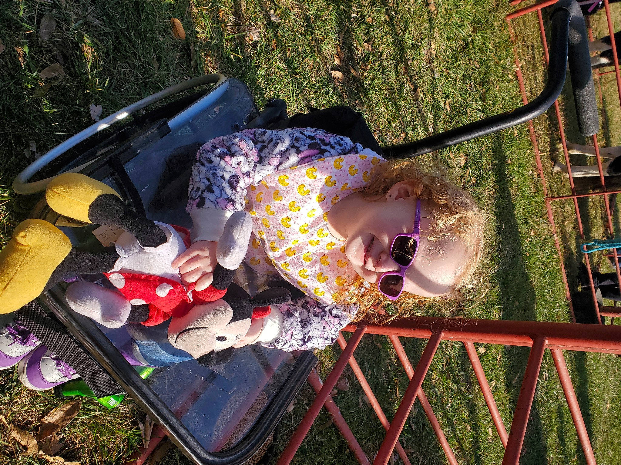 Amber joined the competition — help win amazing prizes! automotive_exterior, baby, baby_products, child, city, fun, grass, joy, leisure, magenta, outdoor_play_equipment, person, plant, play, playground, recreation, toddler, tree, trunk, vacation