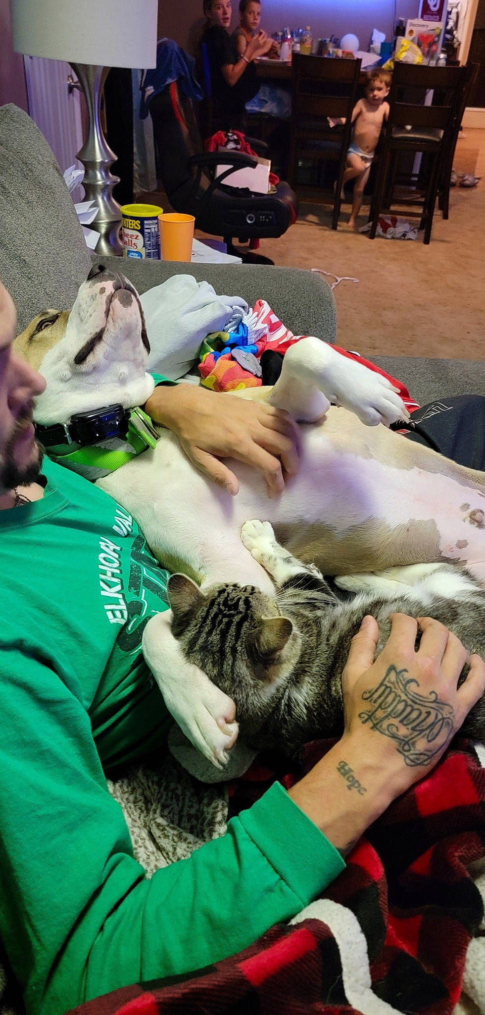 Zeus joined the competition — help win amazing prizes! arm, cat, chair, comfort, elbow, event, felidae, fur, green, hand, hat, human_leg, joint, lap, nail, people, t_shirt, tattoo, tattoo_artist, wrist