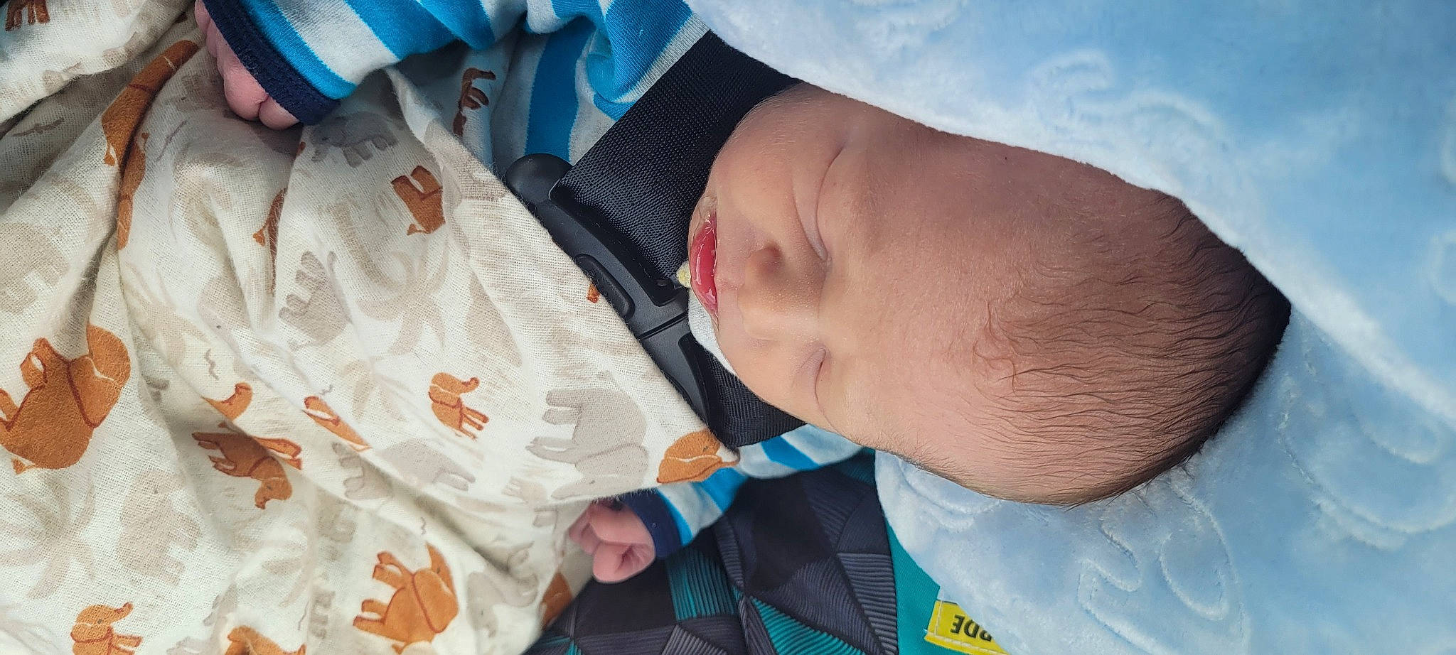 Troy joined the competition — help win amazing prizes! baby, baby_products, baby_safety, baby_sleeping, baby_toddler_clothing, blue, child, comfort, elbow, electric_blue, finger, gesture, human, linens, nail, person, skin, sleeve, textile, thumb