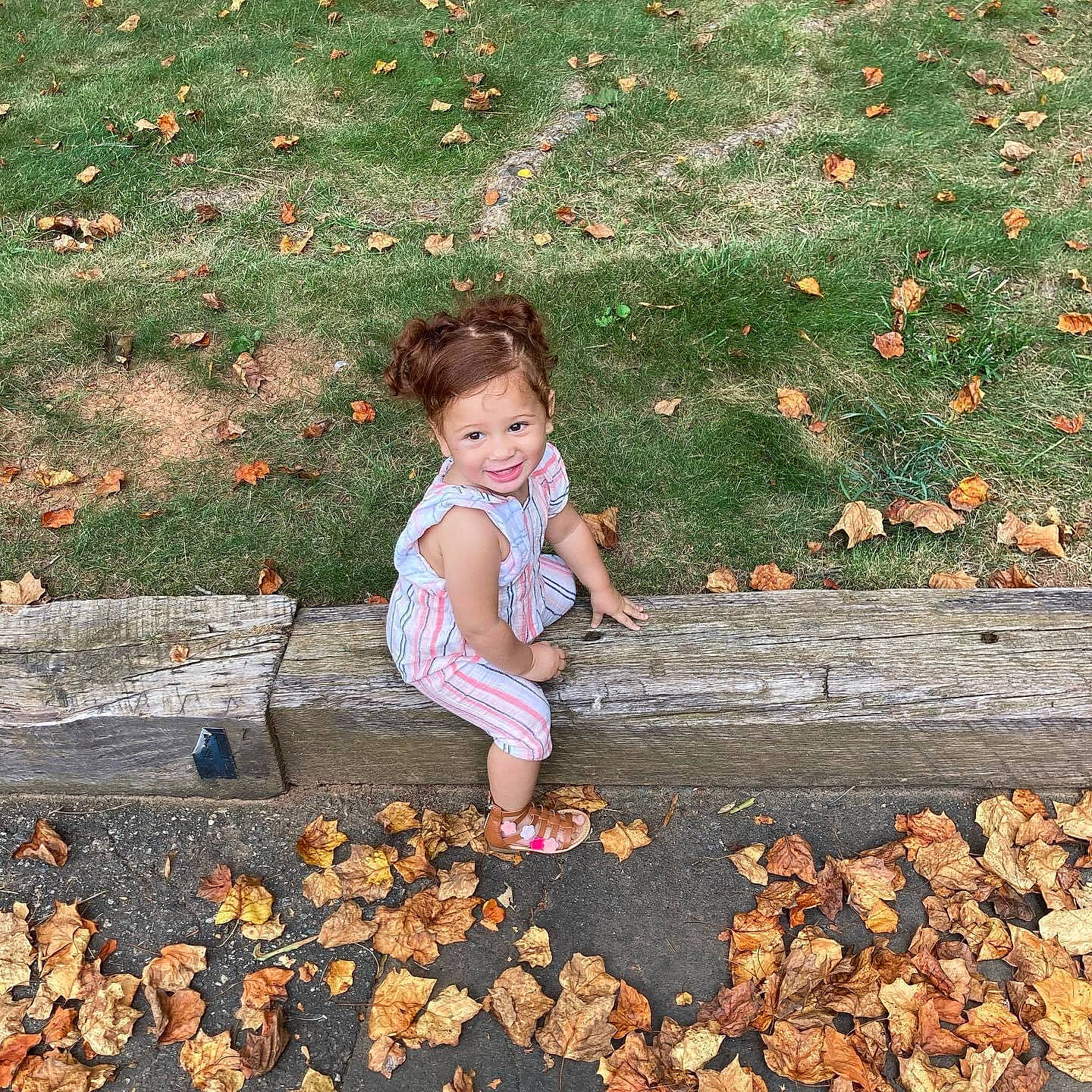 Isabella joined the competition — help win amazing prizes! baby_toddler_clothing, child, deciduous, flooring, grass, human_leg, joy, leaf, leisure, mammal, people_in_nature, person, plant, road_surface, sidewalk, sitting, soil, tints_and_shades, toddler, tree