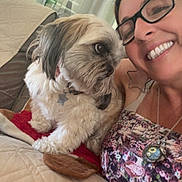 Chloe joined the competition — help win amazing prizes! dog, small_dog, pet, woman, person, smiling, portrait, selfie, indoors, couch, blanket, quilt, window, glasses, floral_clothing, collar, tag, companion, sitting, happy
