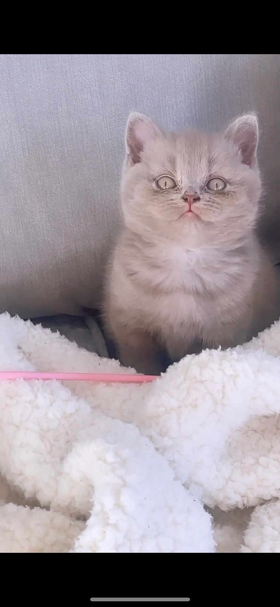 Monroe