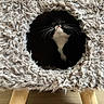 Minnie joined the competition — help win amazing prizes! cat, black_and_white, pet, animal, feline, whiskers, eyes, face, portrait, sitting, hiding, pet_bed, cat_house, fuzzy, shaggy, wooden_legs, indoor, home, floor, tuxedo_cat