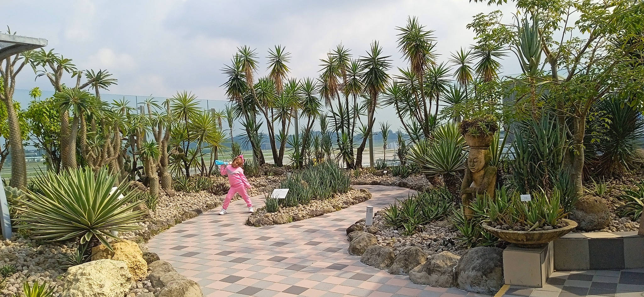 Dieynaba a rejoint le concours — aidez-le/la à gagner de superbes lots ! arecales, attalea_speciosa, cloud, desert_palm, garden, grass, landscape, landscaping, leisure, palm_tree, person, plant, plant_community, plantation, shrub, sky, terrestrial_plant, tree, tropics, walkway