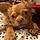 Charlie