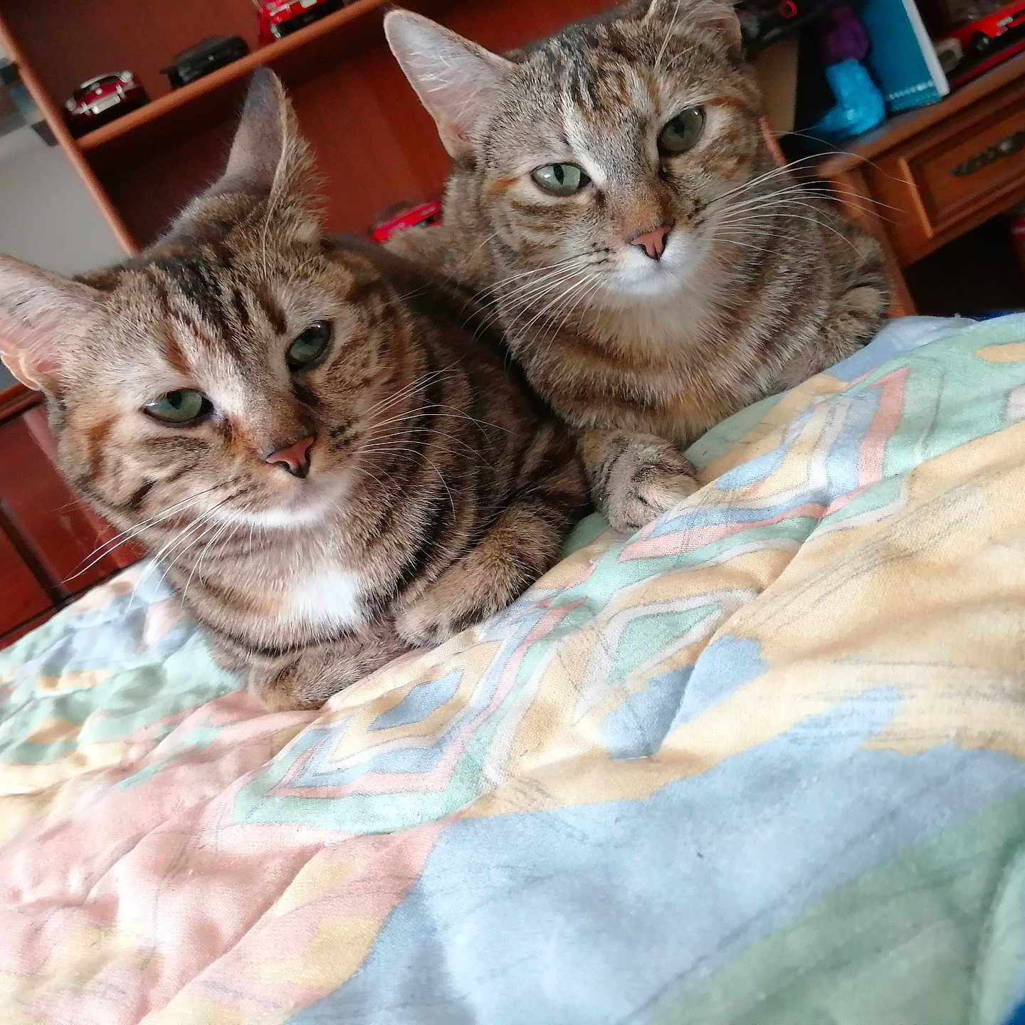 Naya Et Neleil