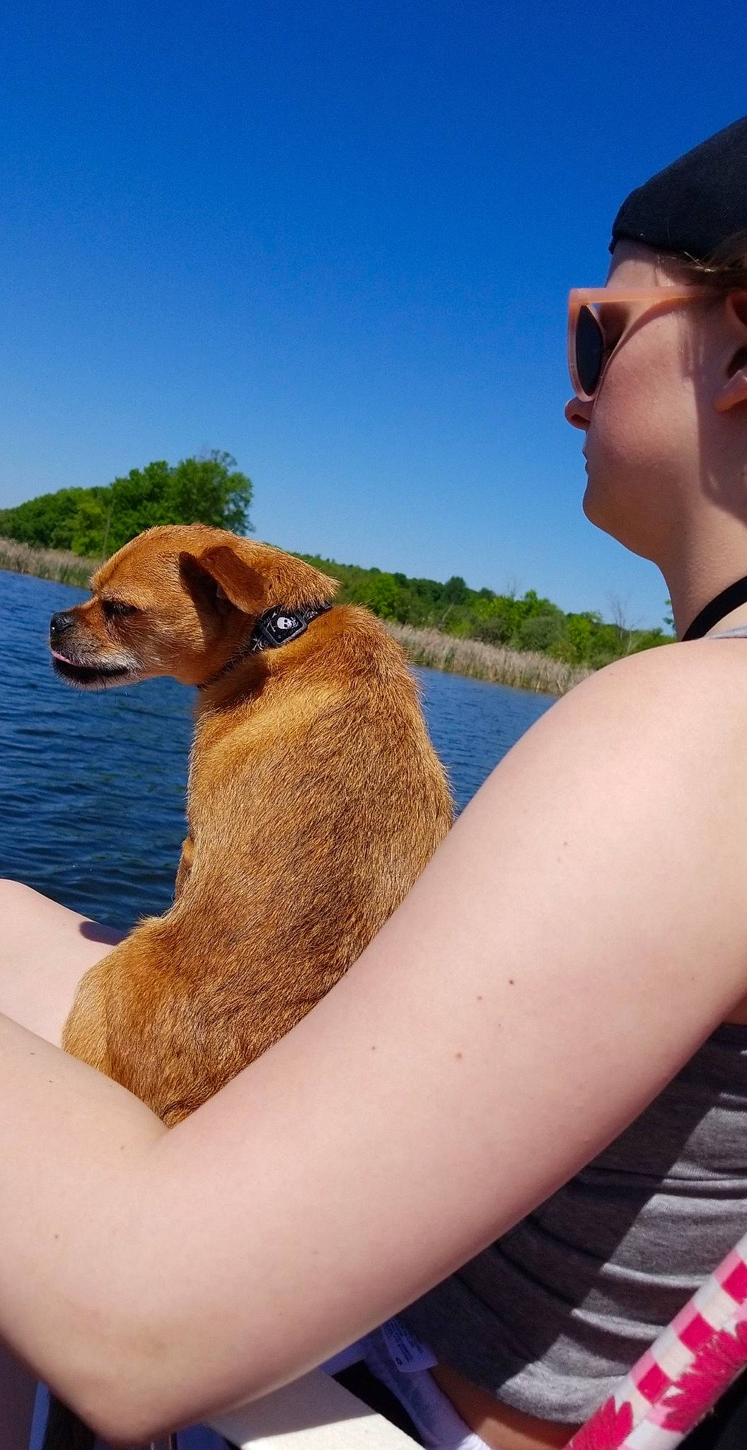 Koda is registered to the contest to win money with this photo: baseball_cap, cap, carnivore, companion_dog, dog_breed, eyewear, fawn, fun, glasses, goggles, happy, hat, lake, leisure, mammal, sky, sunglasses, tree, vertebrate, water