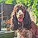 Tilly