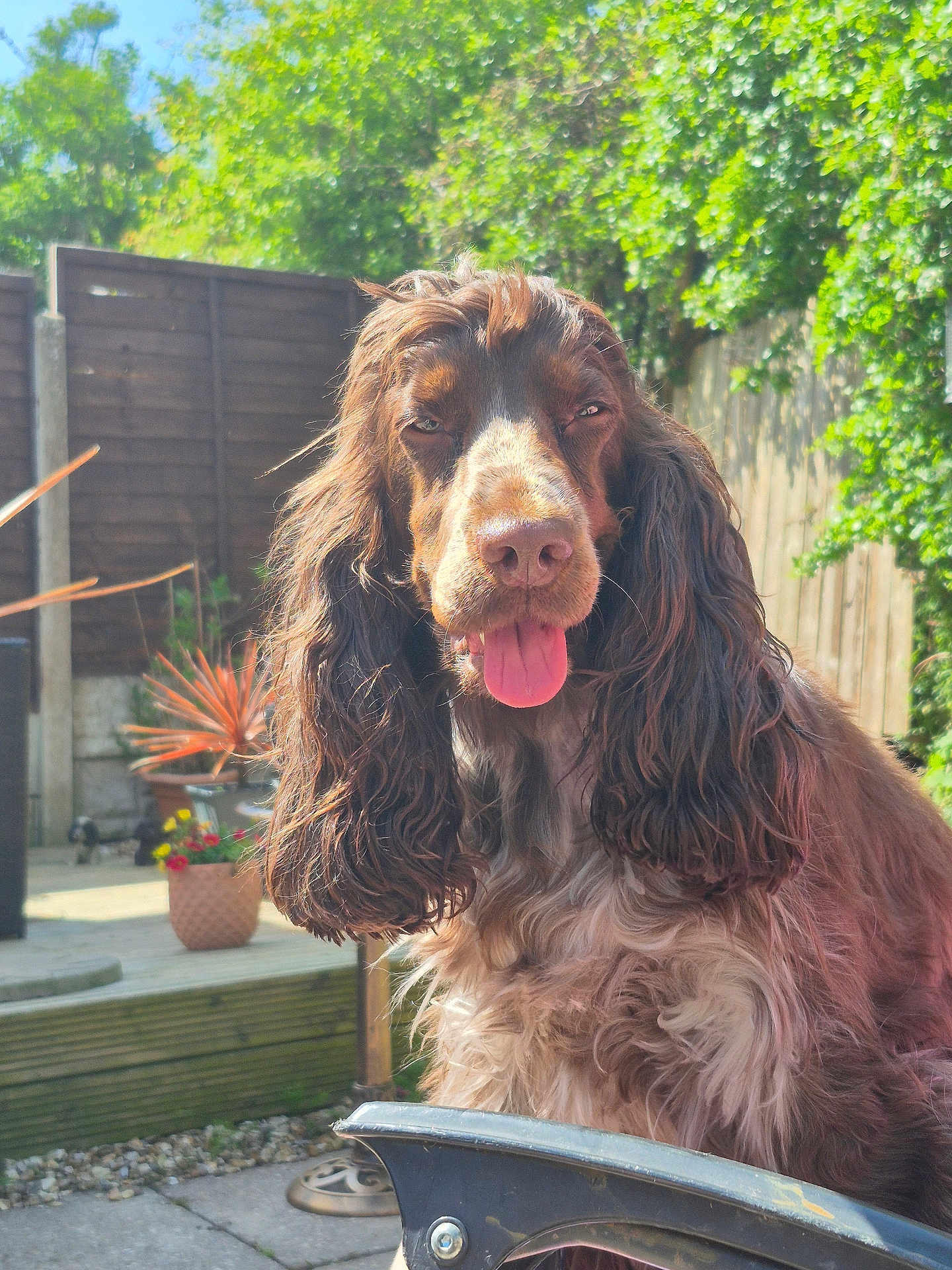 Tilly