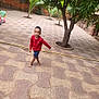 child, boy, barefoot, red_shirt, blue_shorts, outdoor, tree, palm_plant, patio, stone_floor, walking, nature, greenery, yard, daylight, casual_clothing, young, person, cute, playful