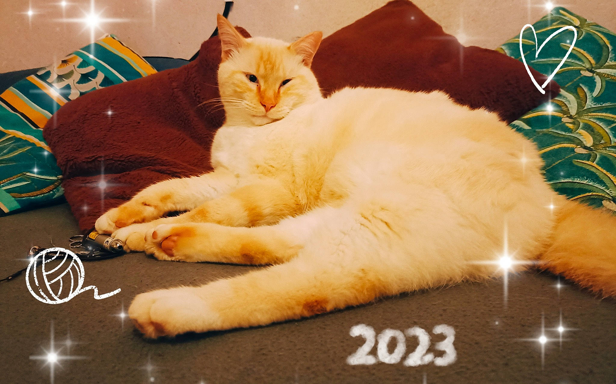 Thalès participe au concours pour gagner de l'argent avec cette photo : bed, carnivore, cat, claw, comfort, domestic_short_haired_cat, fawn, felidae, flooring, foot, fur, linens, nap, paw, sitting, small_to_medium_sized_cats, snout, tail, whiskers, wood