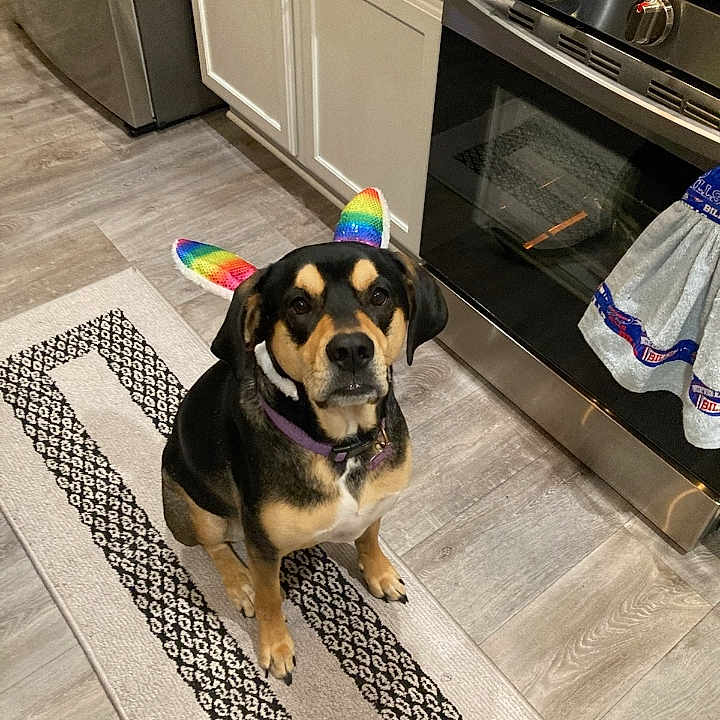 Maggie