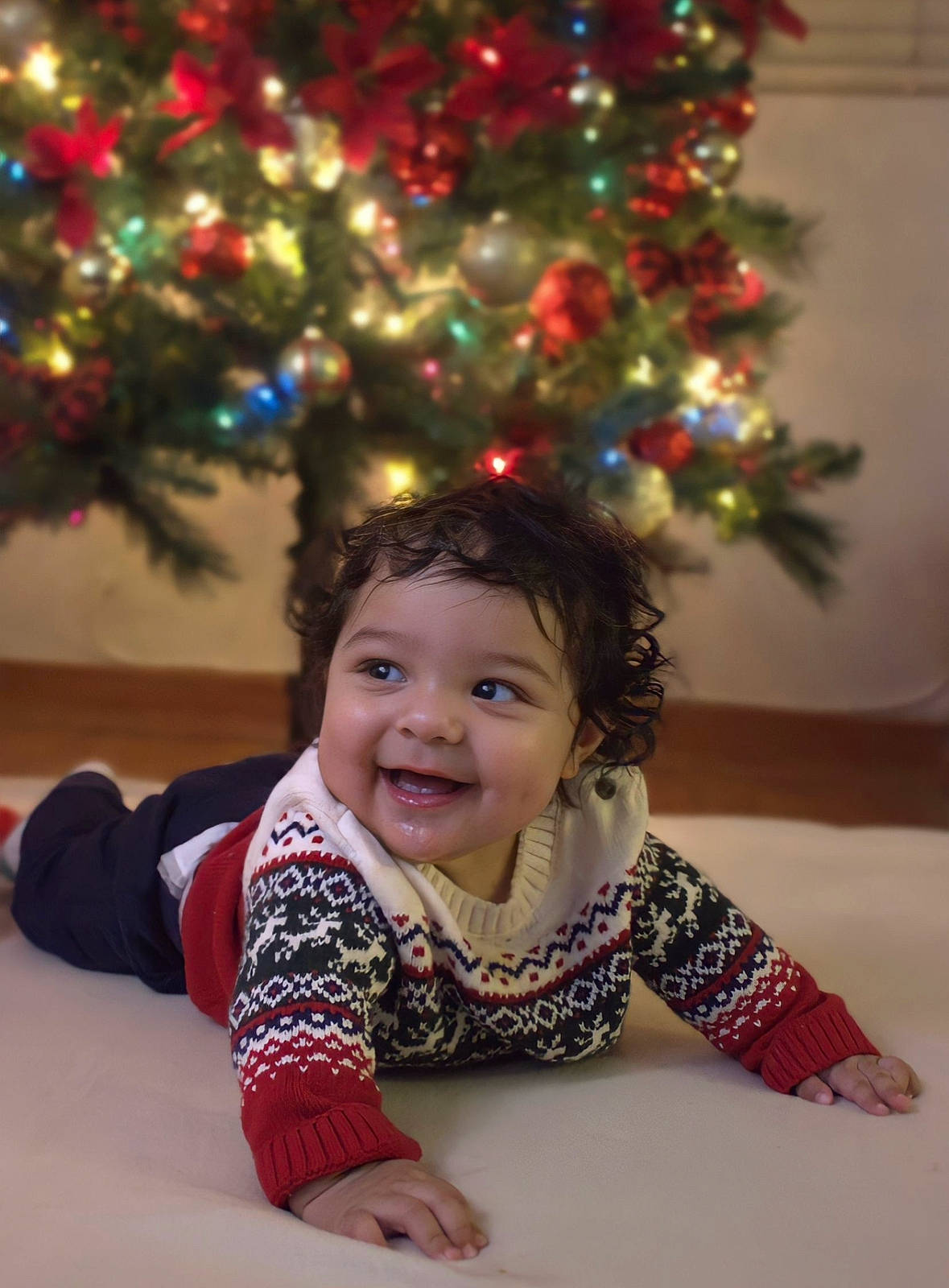 Leonardo joined the competition — help win amazing prizes! baby, baby_toddler_clothing, child, christmas_decoration, christmas_ornament, christmas_tree, event, eye, facial_expression, fun, hair, happy, head, joy, person, plant, sitting, sleeve, smile, standing