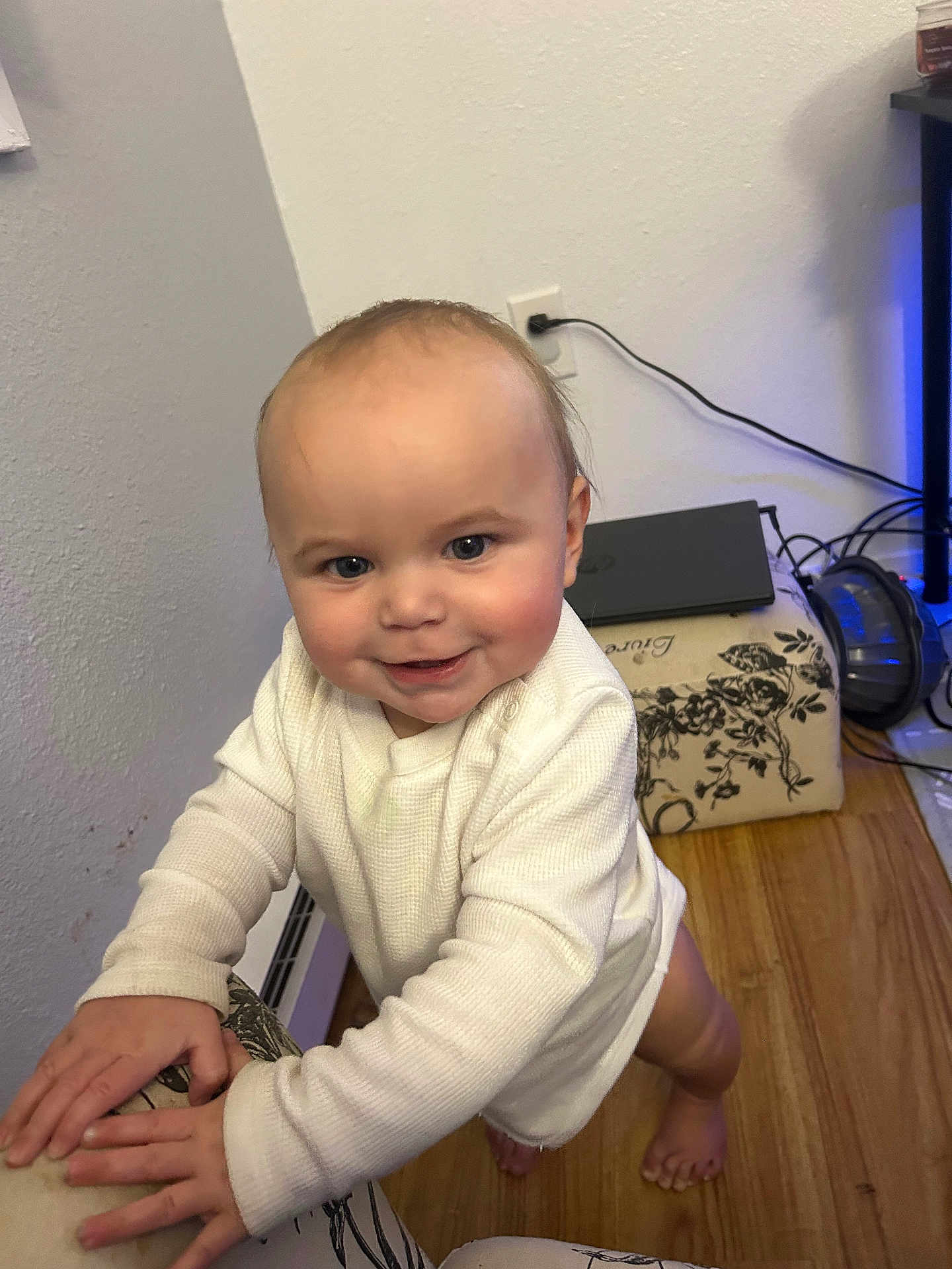 Amelia