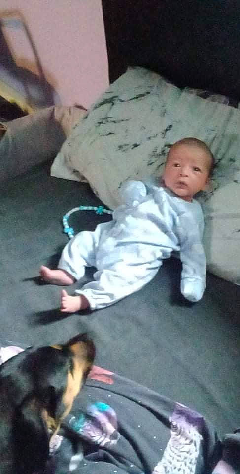 Charlie is registered to the contest to win money with this photo: baby, baby_products, baby_toddler_clothing, bedding, carnivore, child, comfort, companion_dog, dog, floor, flooring, guard_dog, linens, mammal, nap, person, photograph, room, sitting, toddler