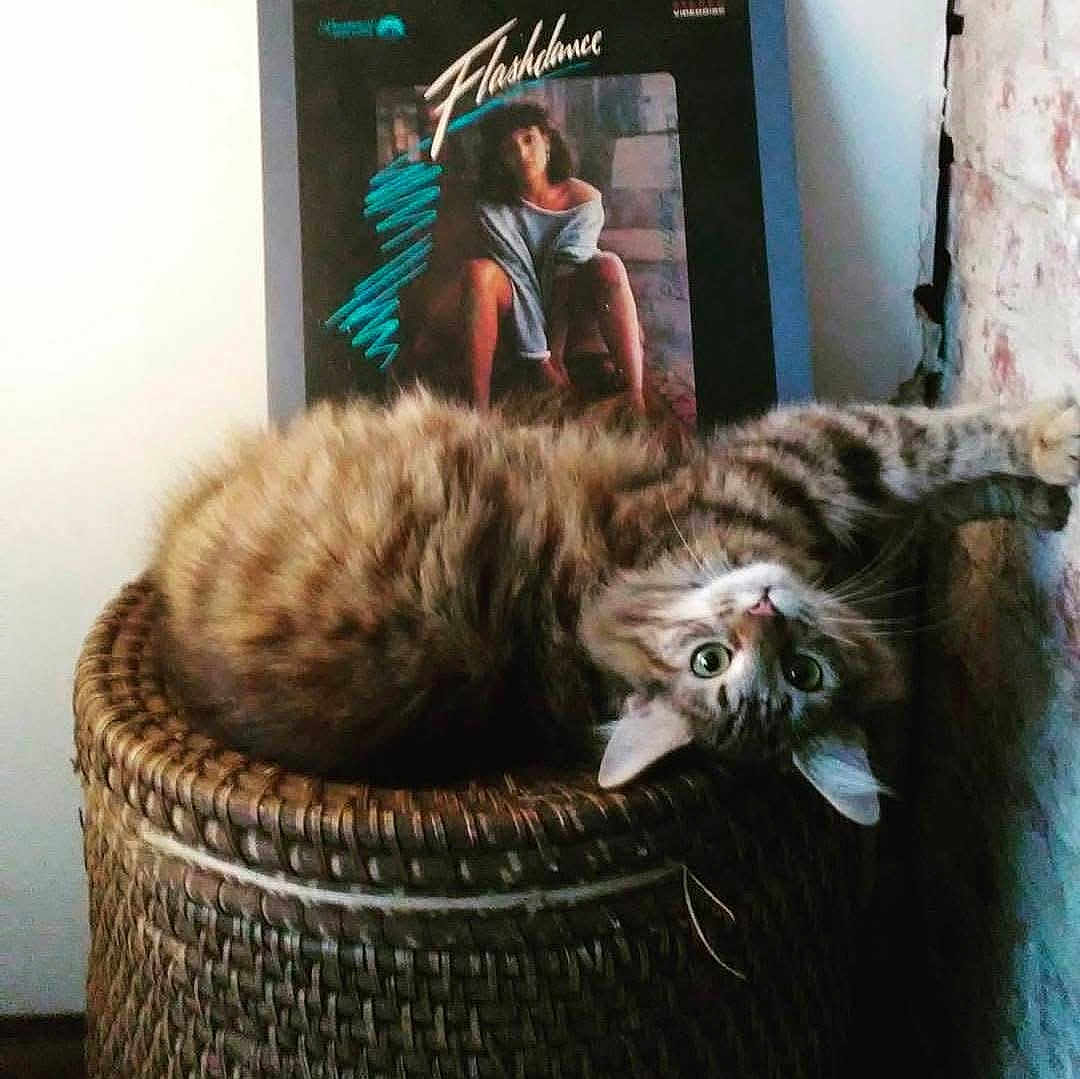 Stripey