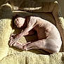 Saphira participe au concours pour gagner de l'argent avec cette photo : animal, beige, close_up, comfort, cozy, cute, feline, hairless_cat, indoor, nap, paws, pet, pet_bed, relaxed, resting, sleeping, soft_texture, sphynx_cat, sunlight, wrinkled_skin