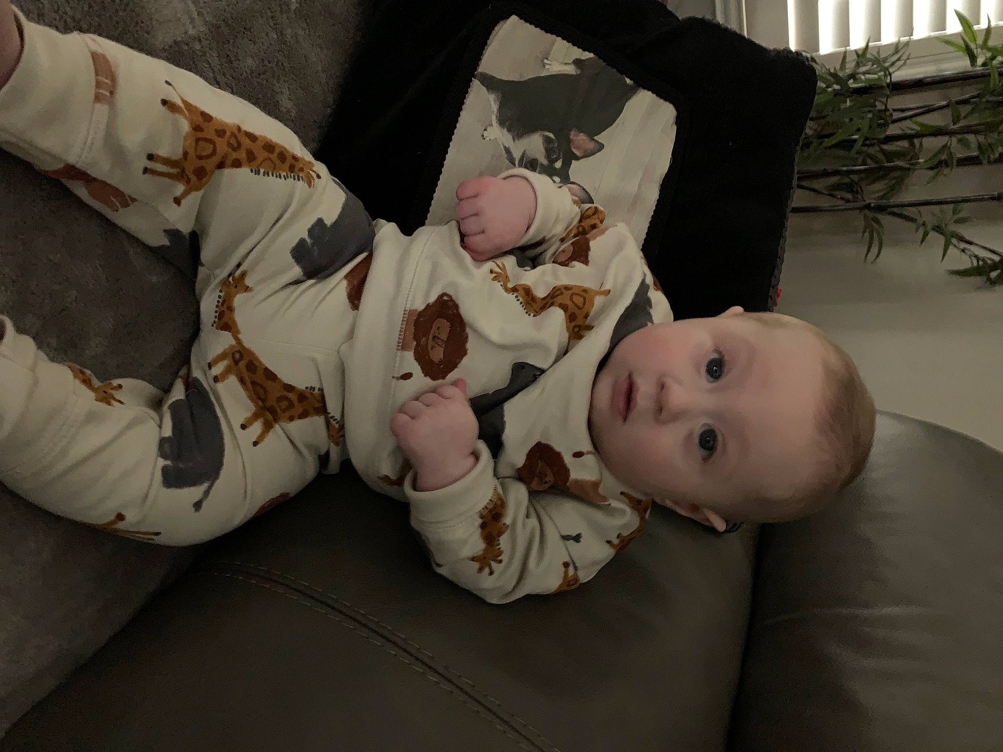 Ryder joined the competition — help win amazing prizes! art, baby, baby_products, baby_toddler_clothing, bedtime, cheek, child, comfort, flooring, houseplant, linens, mammal, person, room, sitting, skin, sleeve, textile, toddler, vertebrate