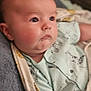 baby, infant, face, chubby_cheeks, onesie, animal_prints, blanket, soft, cute, portrait, newborn, sleepwear, skin, head, lying_down, child, indoors, young, expression, curious